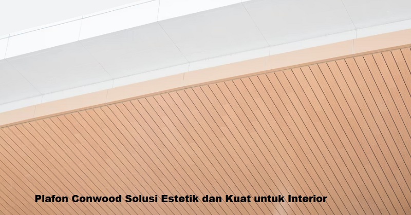 plafon conwood